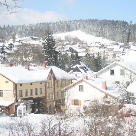 Gaestehaus Am Berg Bayerisch Eisenstein Exterior foto